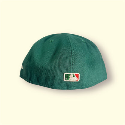 LA DODGERS NOVELTY HOLLY