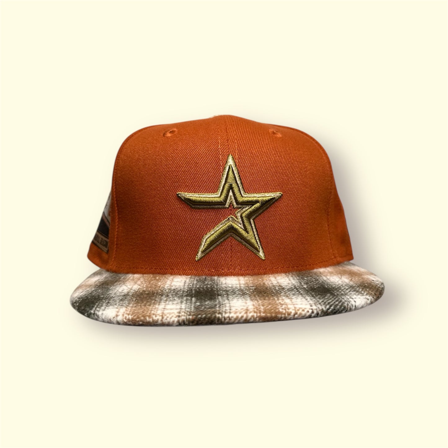 HOUSTON ASTROS 2010 INAUGURAL SEASON