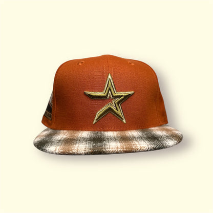 HOUSTON ASTROS 2010 INAUGURAL SEASON
