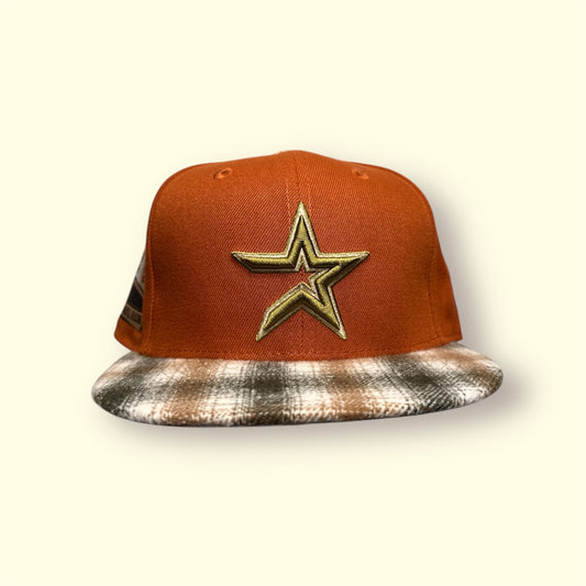 HOUSTON ASTROS 2010 INAUGURAL SEASON